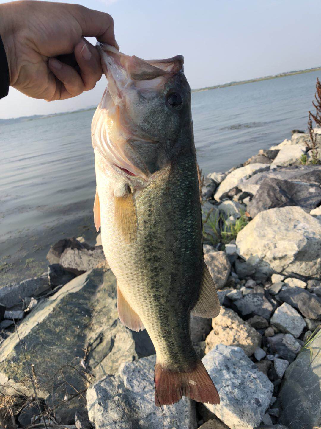 How to Choose a Fishing Spot in Summer?