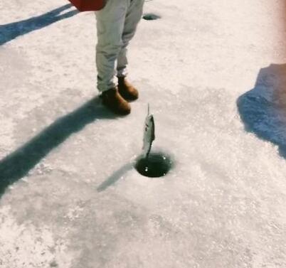 What should I do if I want to go Ice fishing?