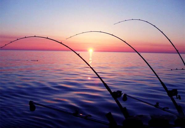 Down Shot,Texas Rig and VIB,which should I use in deep water?