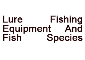 Lure Fishing Equipment And Fish Species