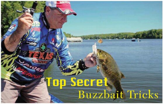 Top Secrets of Buzzbat Tricks