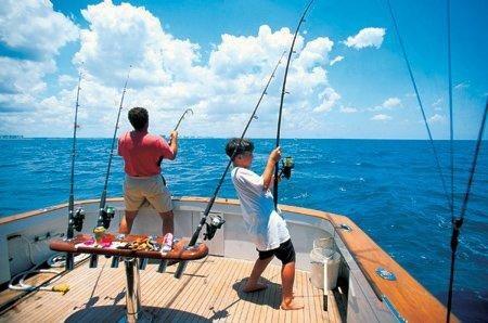 Sea Fishing Current Knowledge