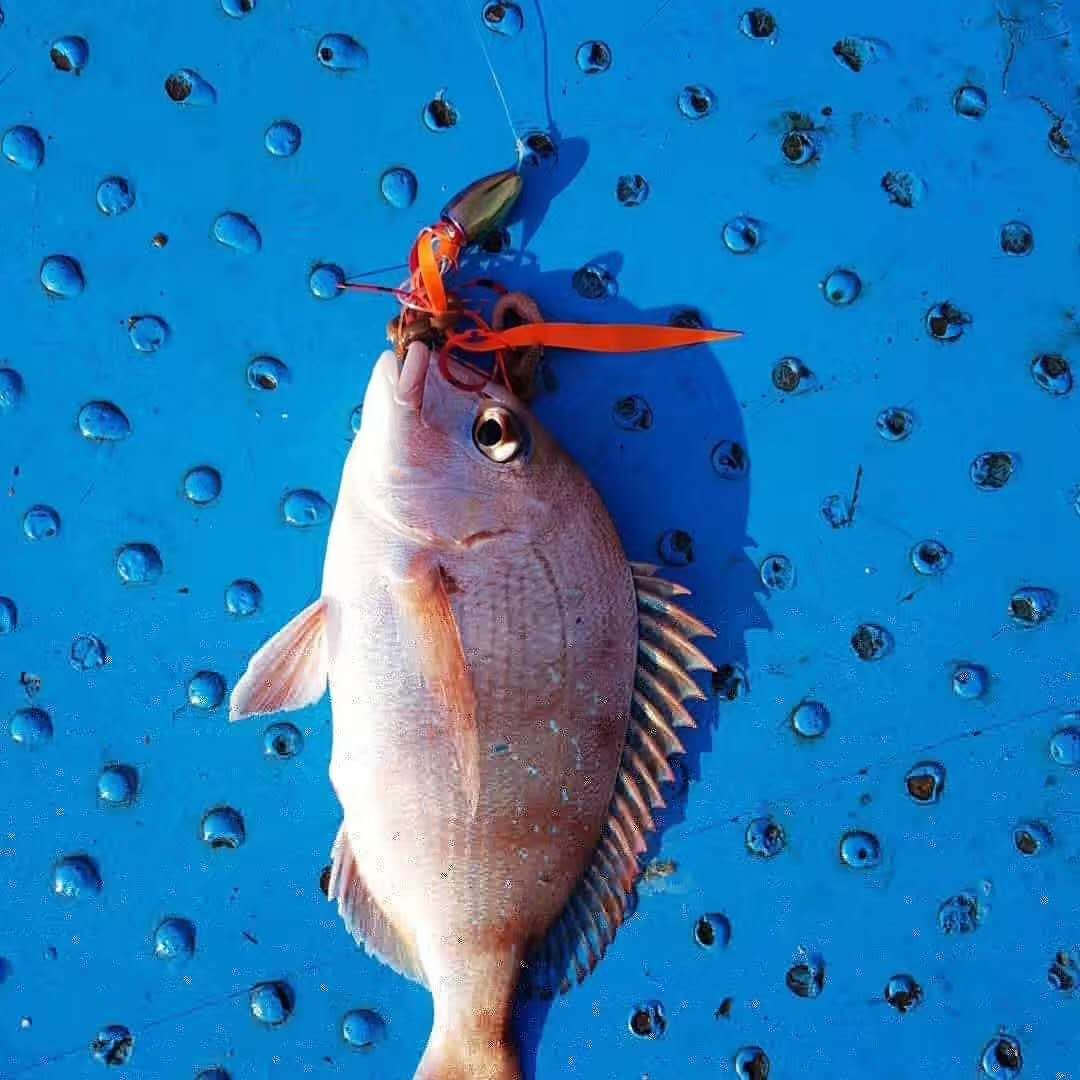 Where should I go fishing in summer?